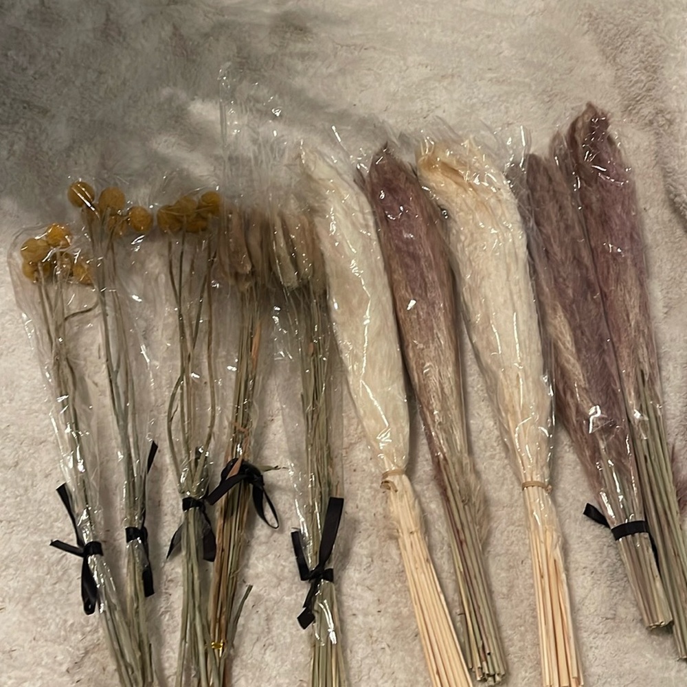 Pampas Big lot of flowers pampas